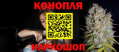 гидропоника Аргун
