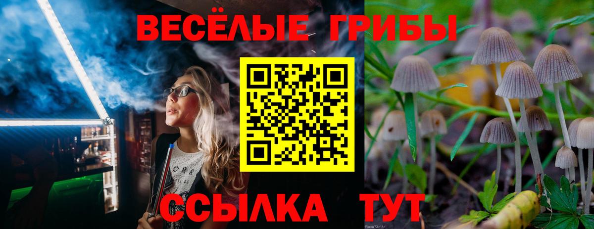 Борисоглебск  Галлюциногенные грибы мицелий  Вход с VPN 