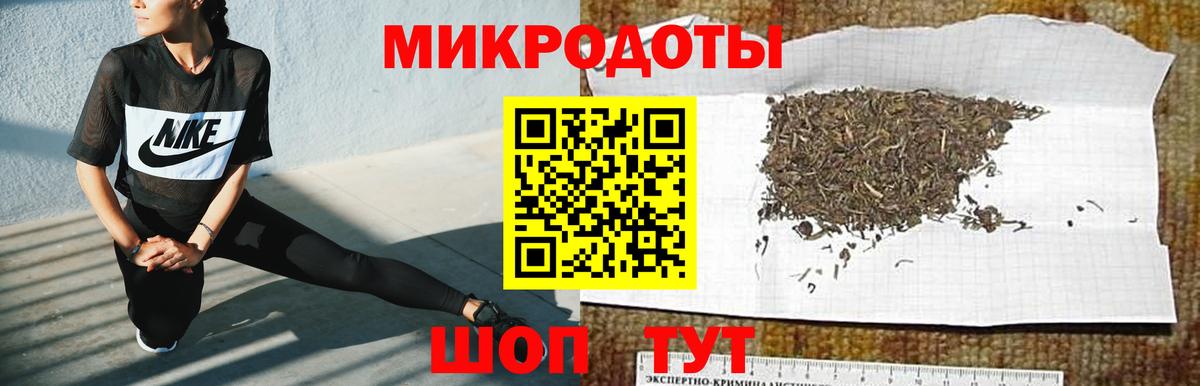 Меф Борисоглебск